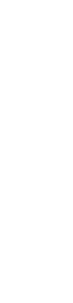 Kebab-Graphic